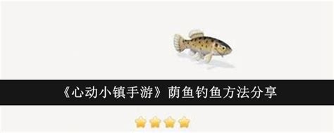 浙江本地的魚怎麼釣？談論並探討不同時期與不同魚種的釣法